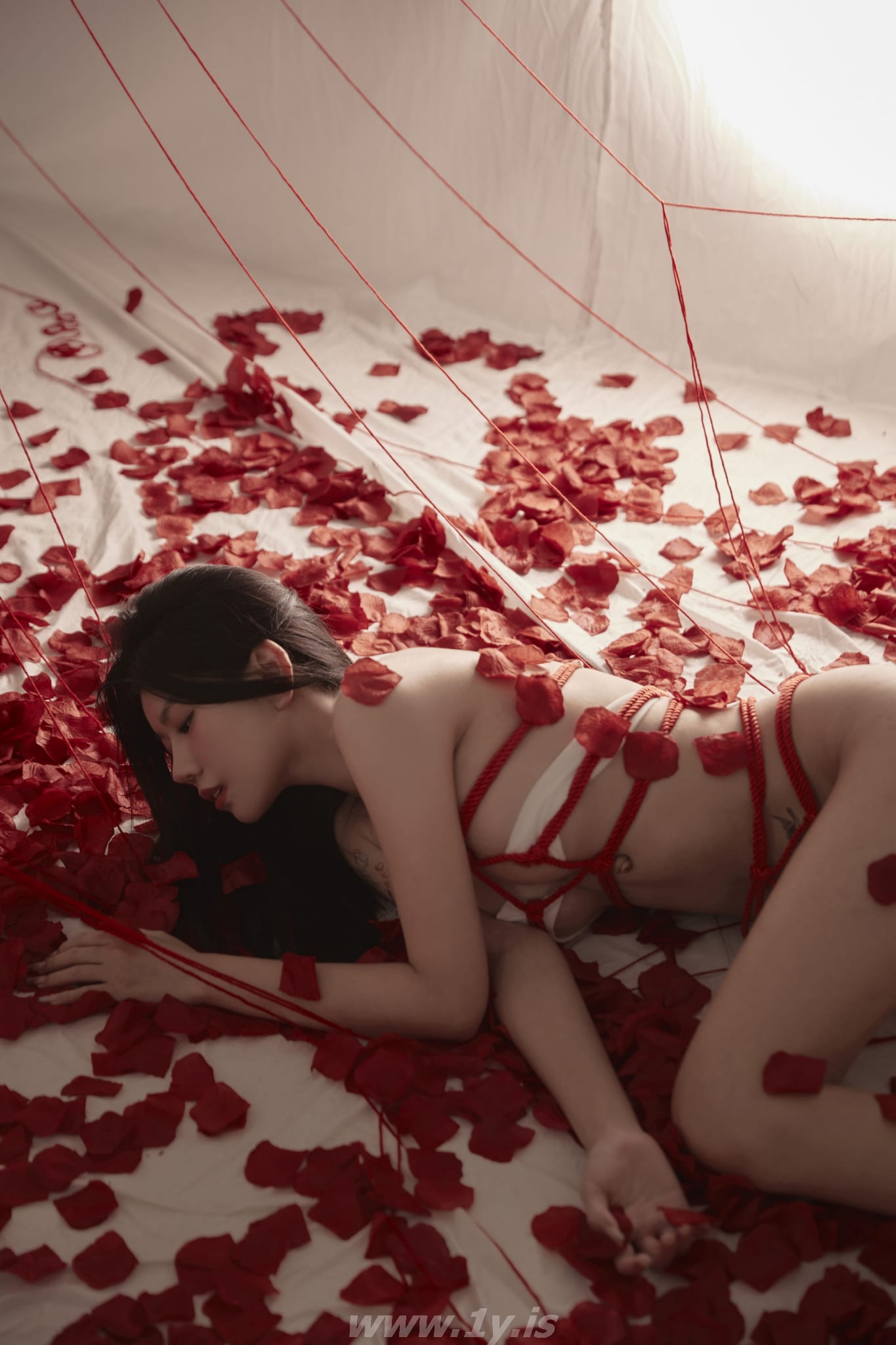 Petals and Rope (3)